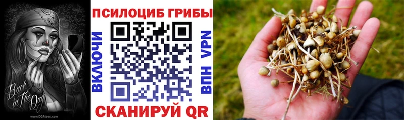 Псилоцибиновые грибы Psilocybine cubensis  Белебей 